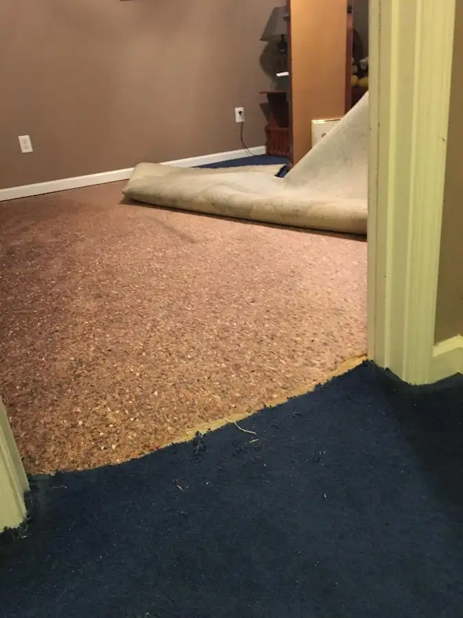 Carpet pad removal revealing water damage during Drying & Dehumidification in Hamilton