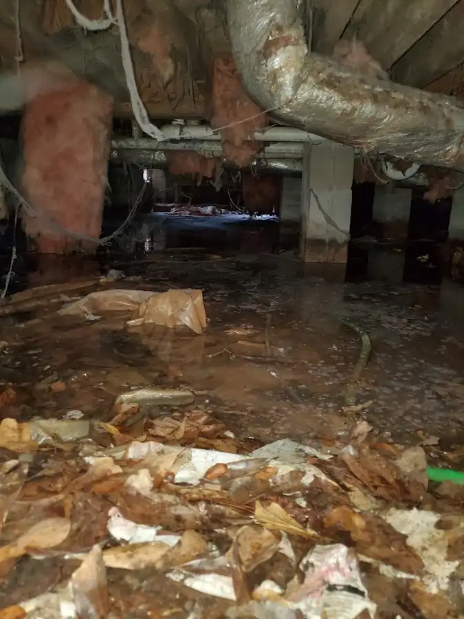 Crawl space flood assessment for Commercial Water Damage Restoration in Hamilton